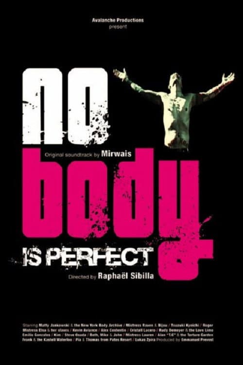 Poster di No Body Is Perfect