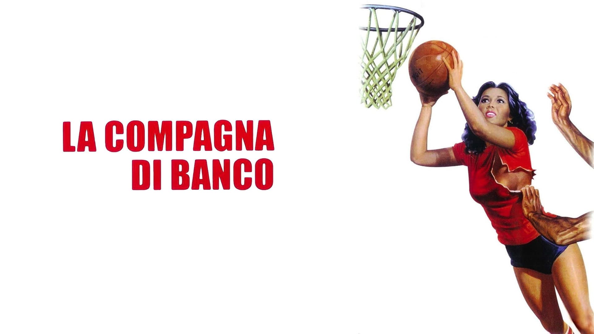 La Compagna di Banco - immagine