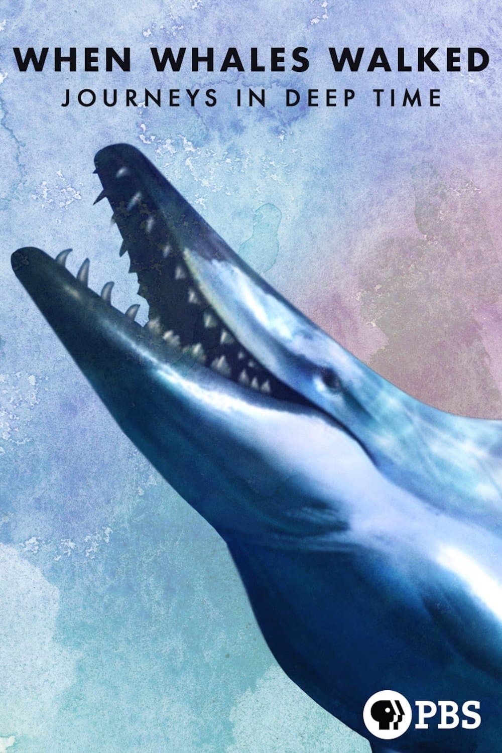 Poster di When Whales Walked: Journeys in Deep Time