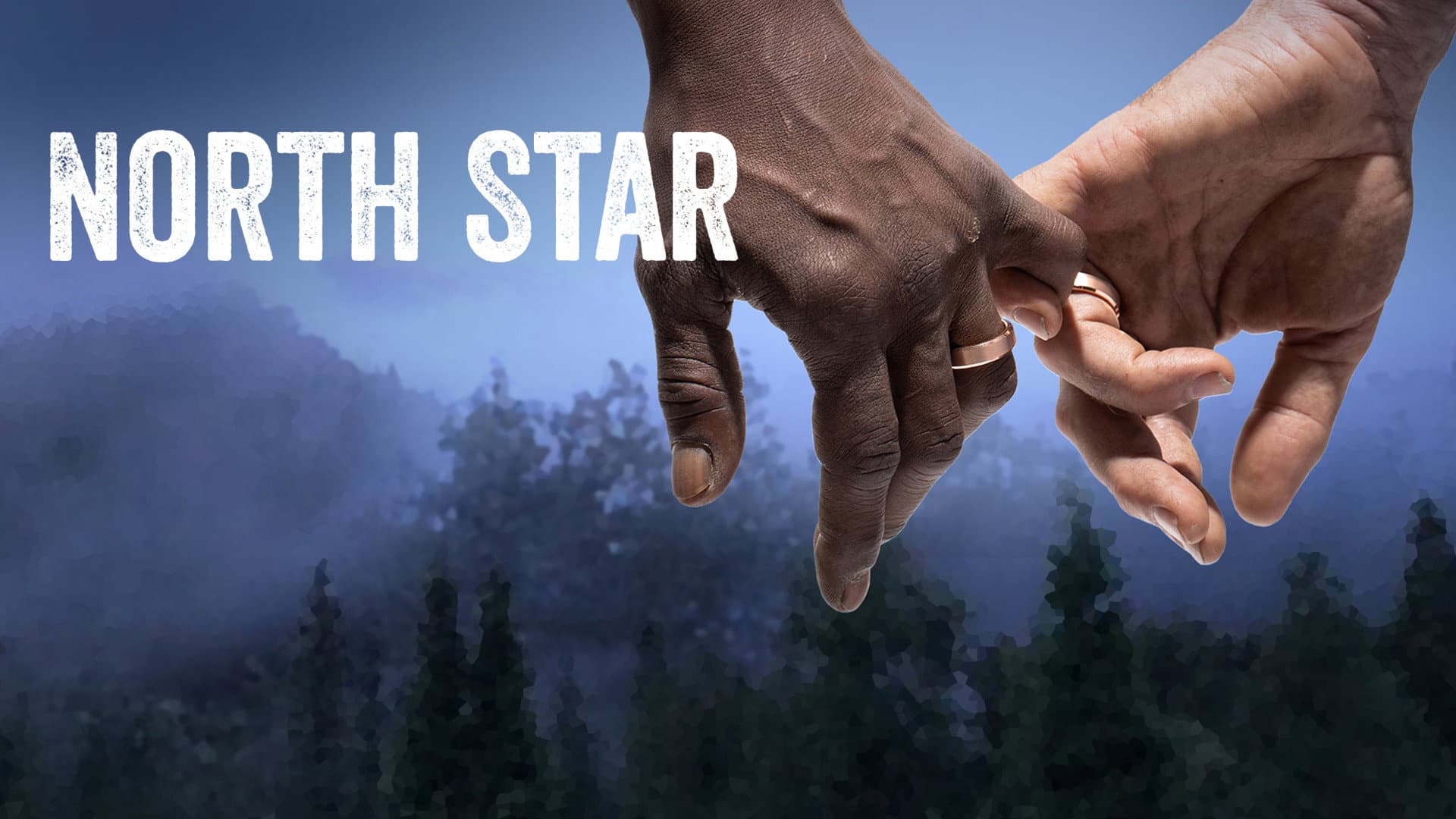 North Star - immagine