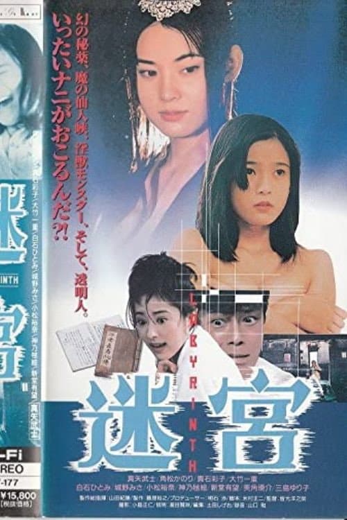 Poster di 迷宮
