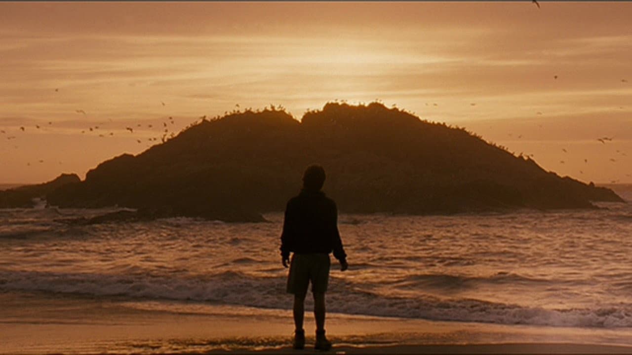Into the Wild - Nelle terre selvagge - immagine