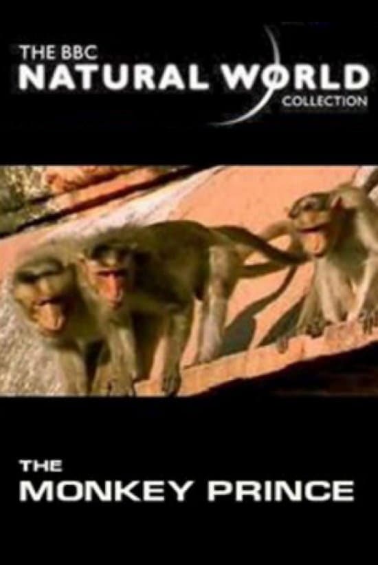 Poster di The Monkey Prince