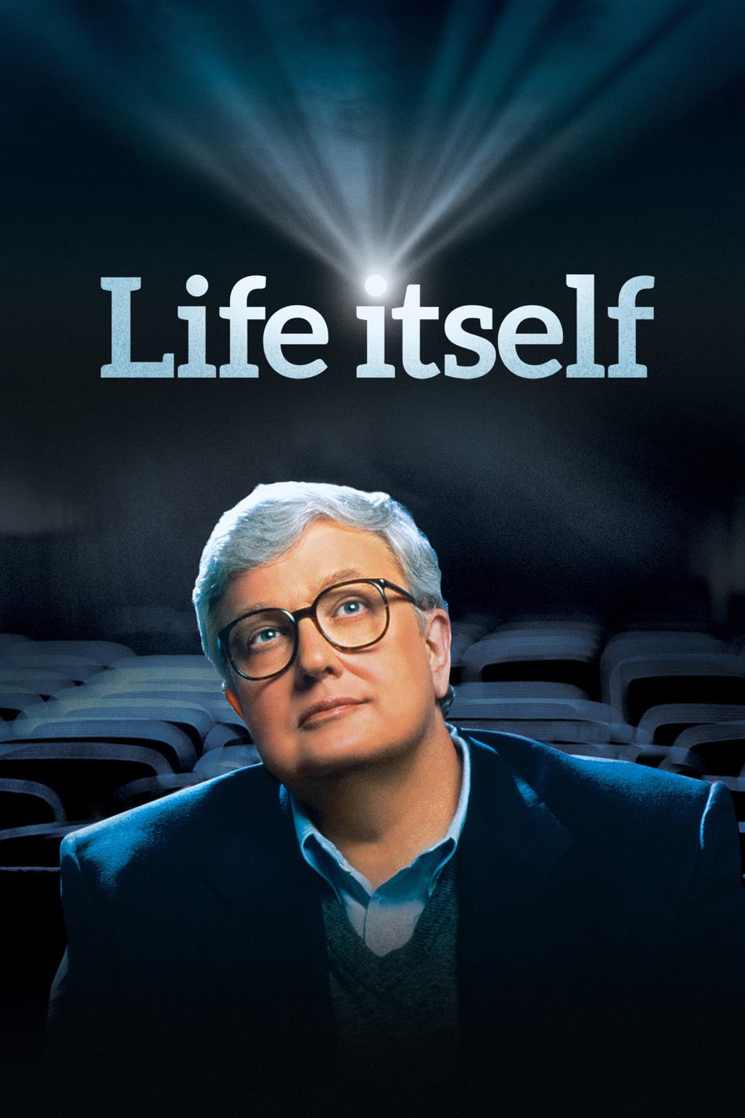 Poster di Life Itself