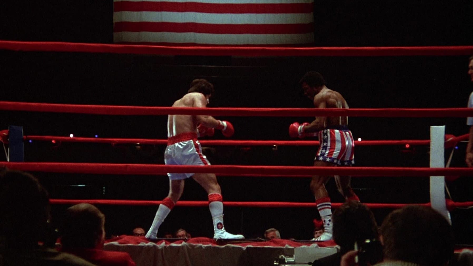 Rocky - immagine