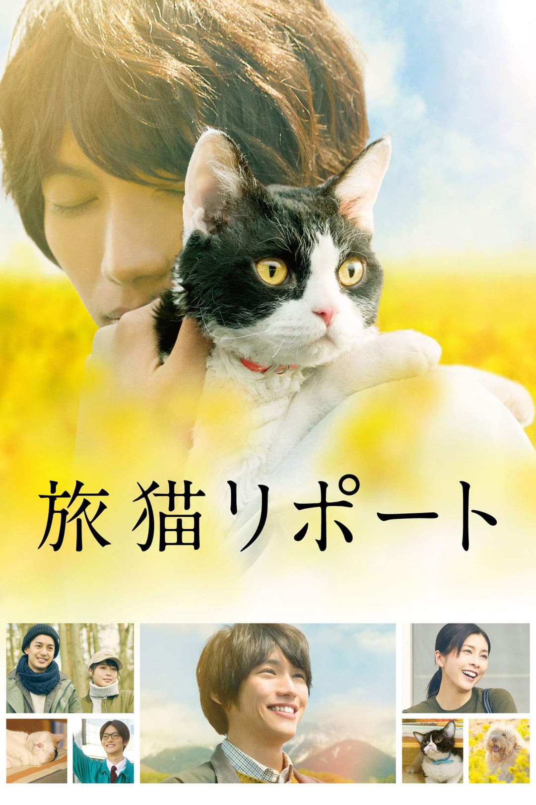 Poster di The Travelling Cat Chronicles