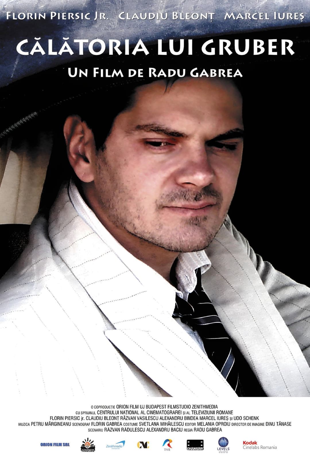 Poster di Călătoria lui Gruber