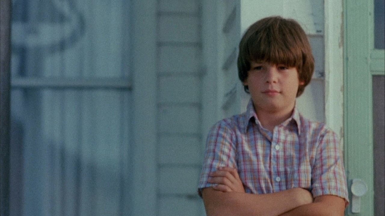The Stone Boy - immagine