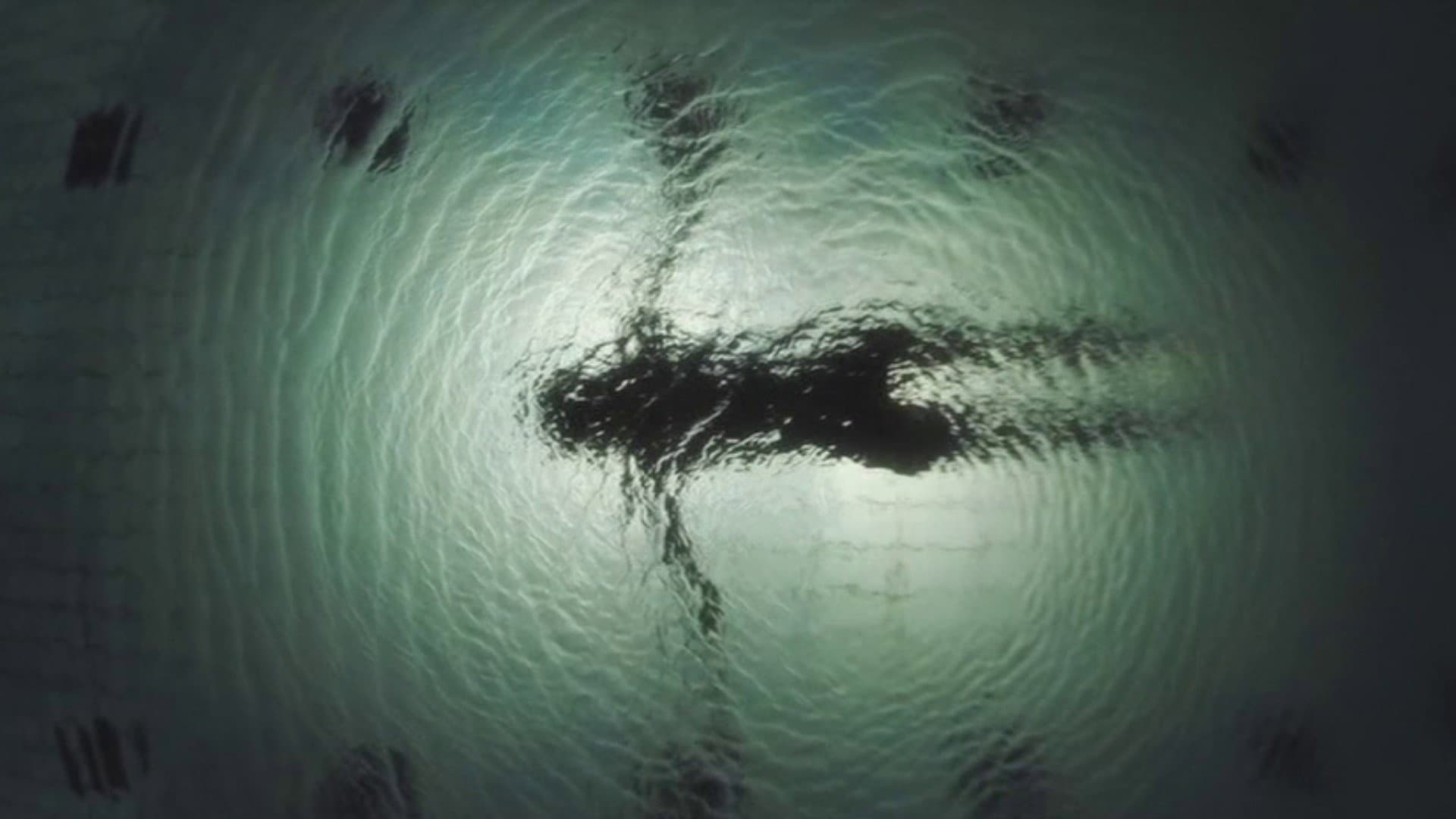 Nowhere Girl - immagine