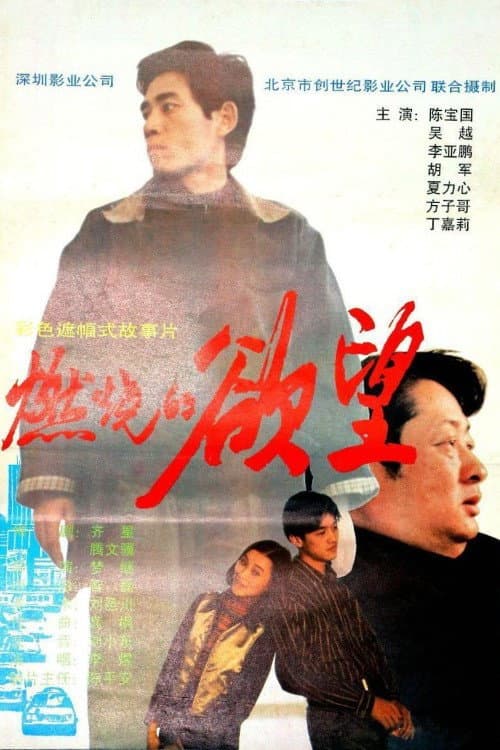 Poster di 燃烧的欲望
