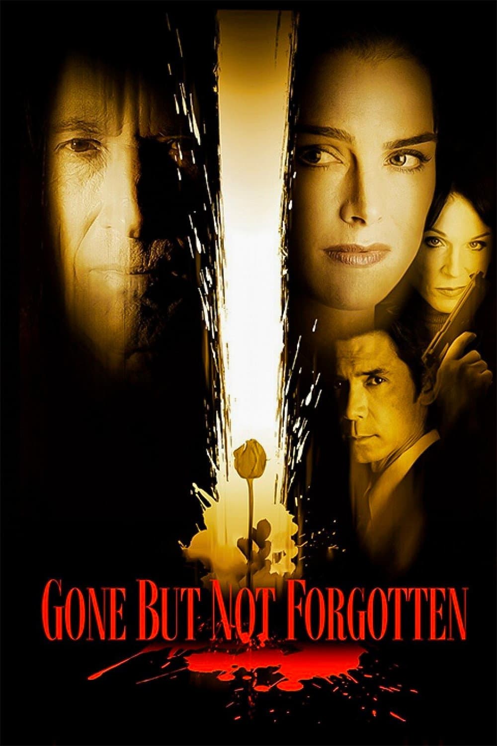 Poster di Gone But Not Forgotten