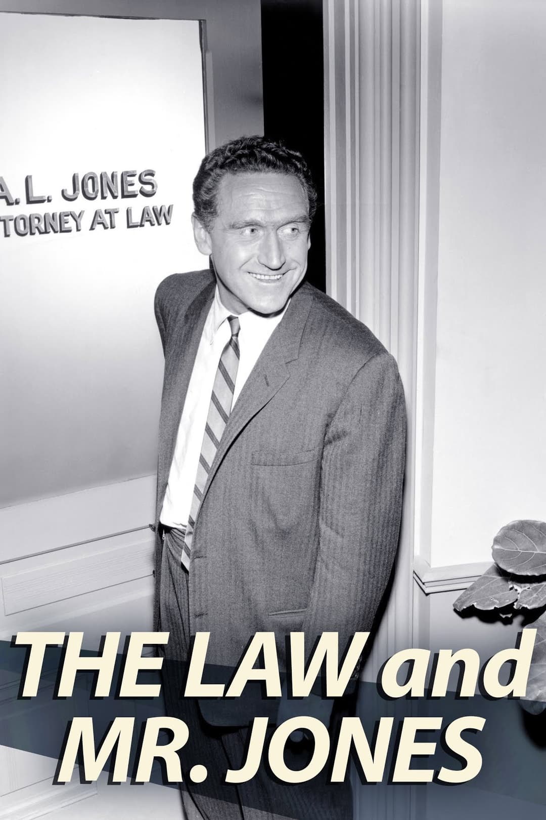 Poster di The Law and Mr. Jones