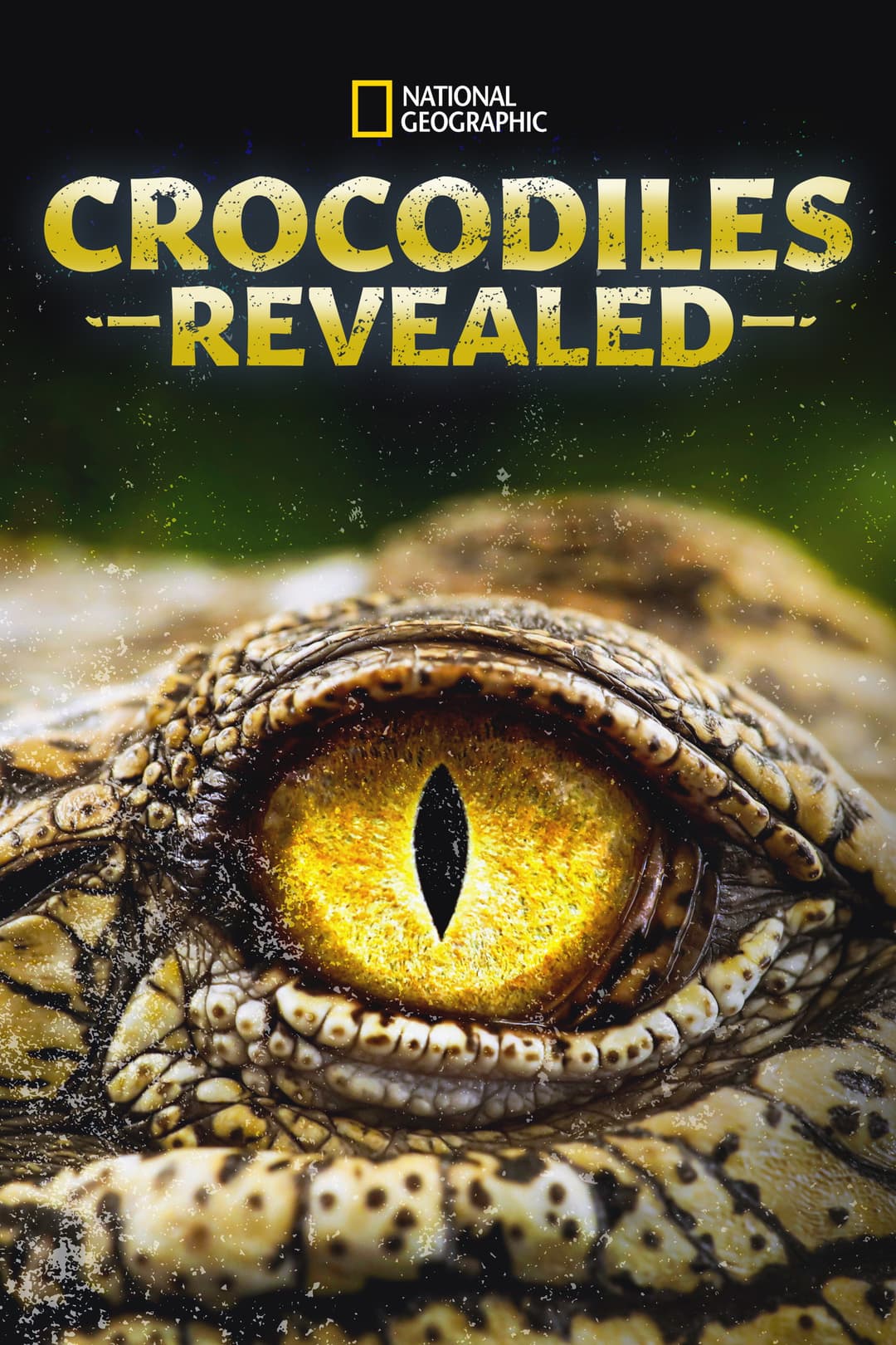 Poster di Crocodiles Revealed