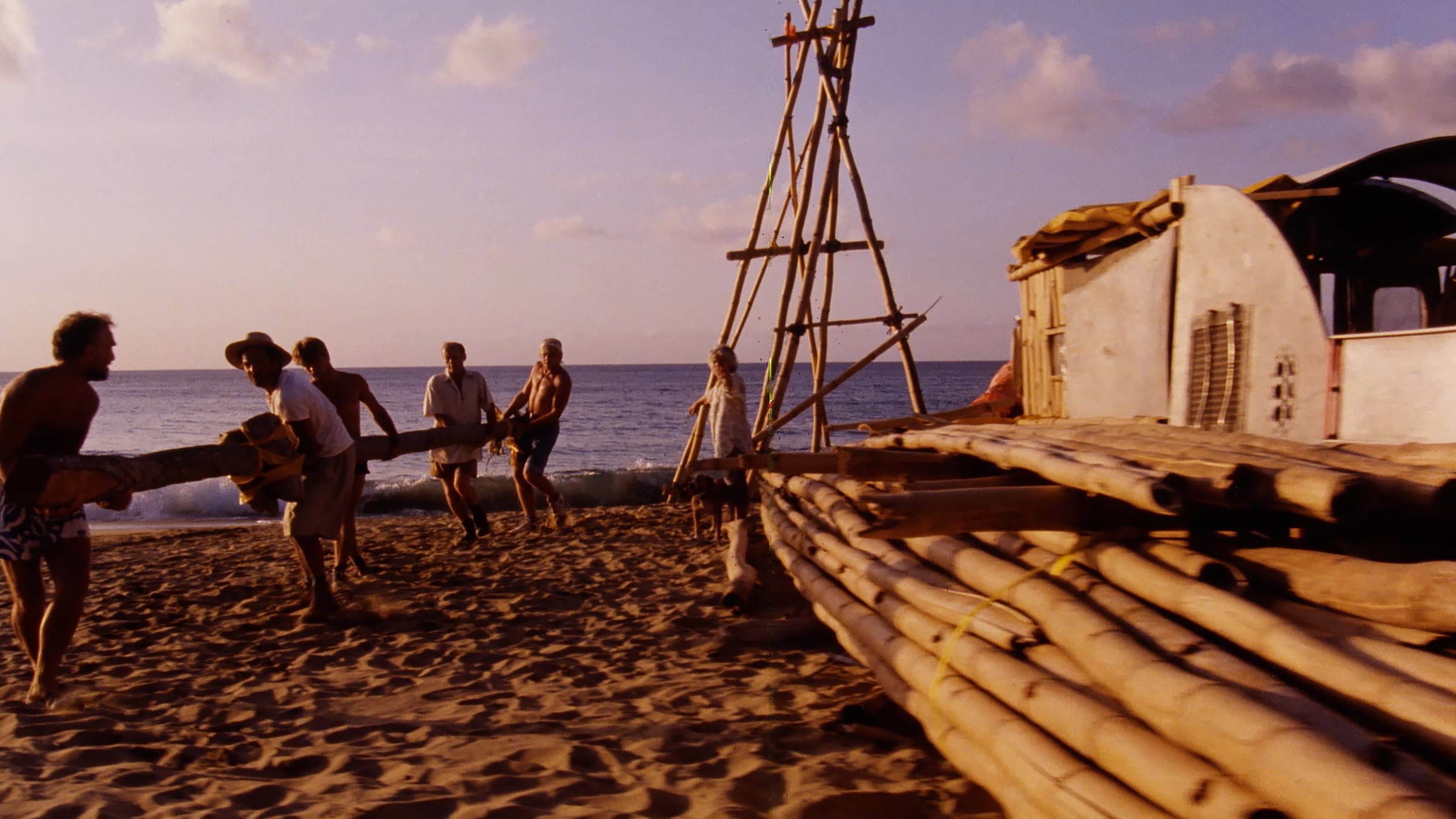 The Last Island - immagine