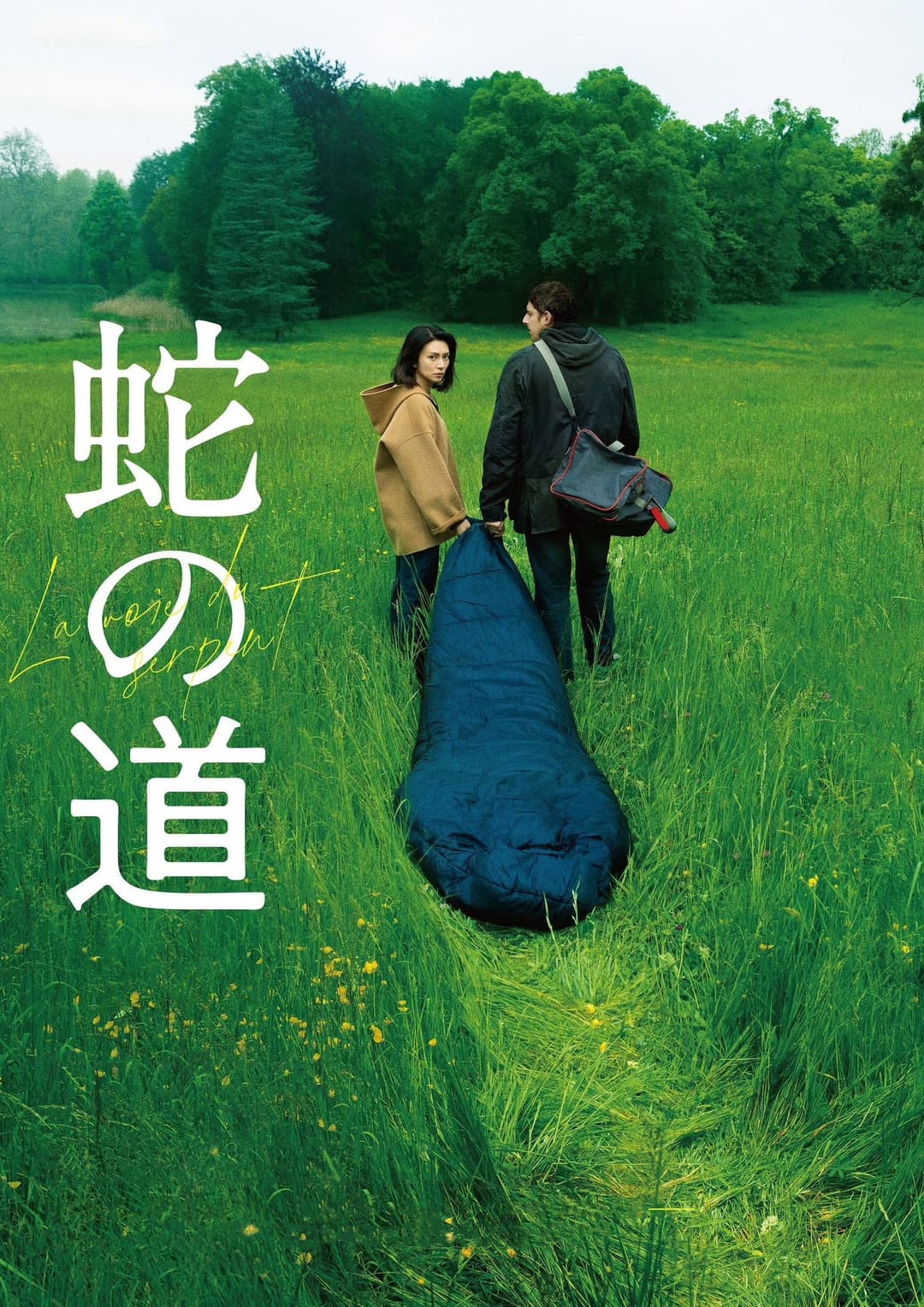Poster di 蛇の道