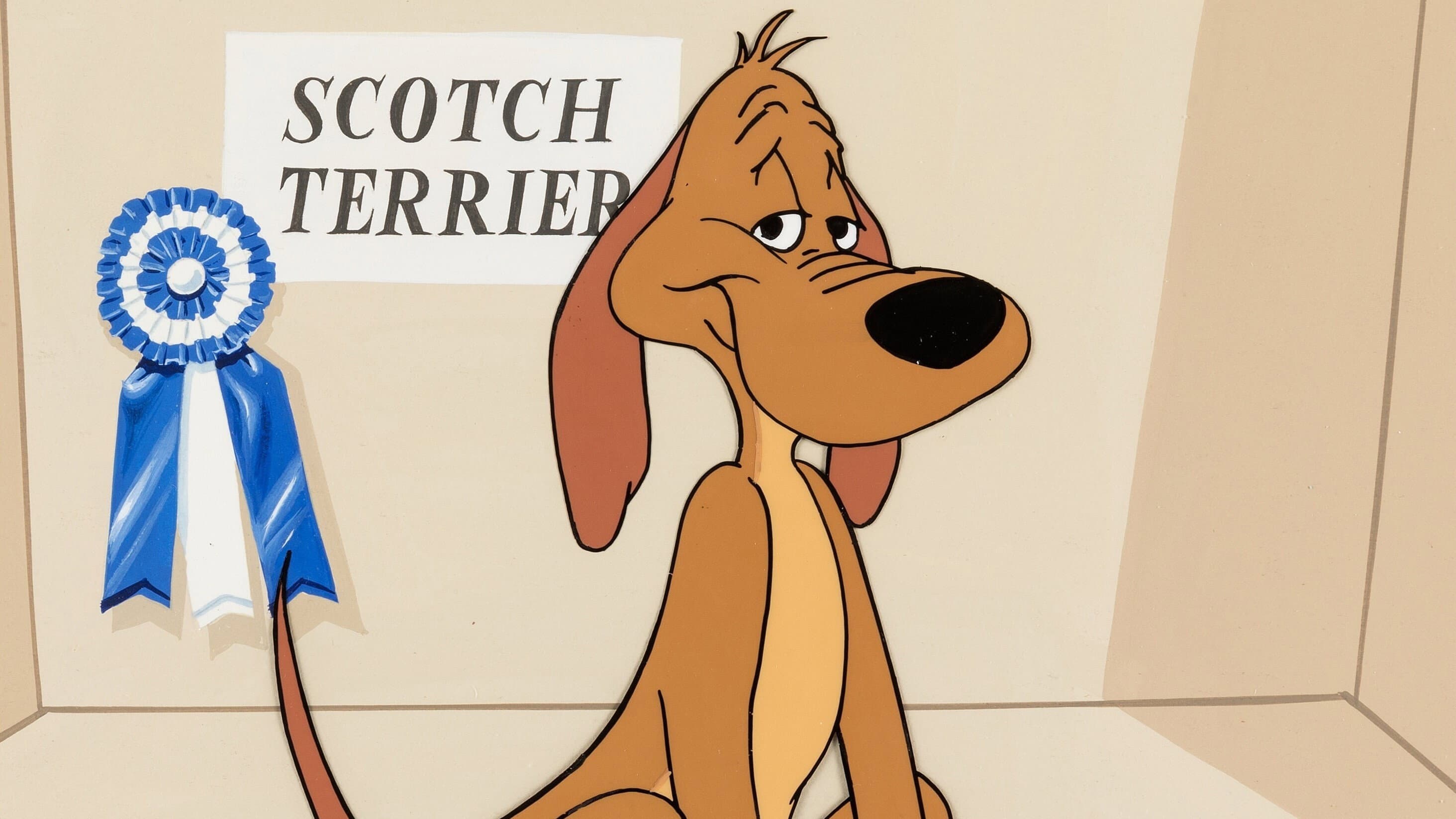 Storie di cani - immagine