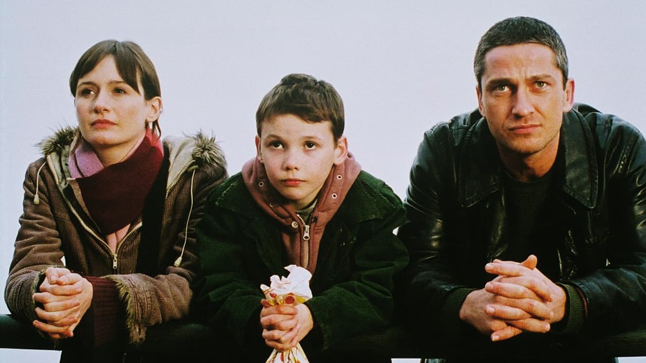 Dear Frankie - immagine