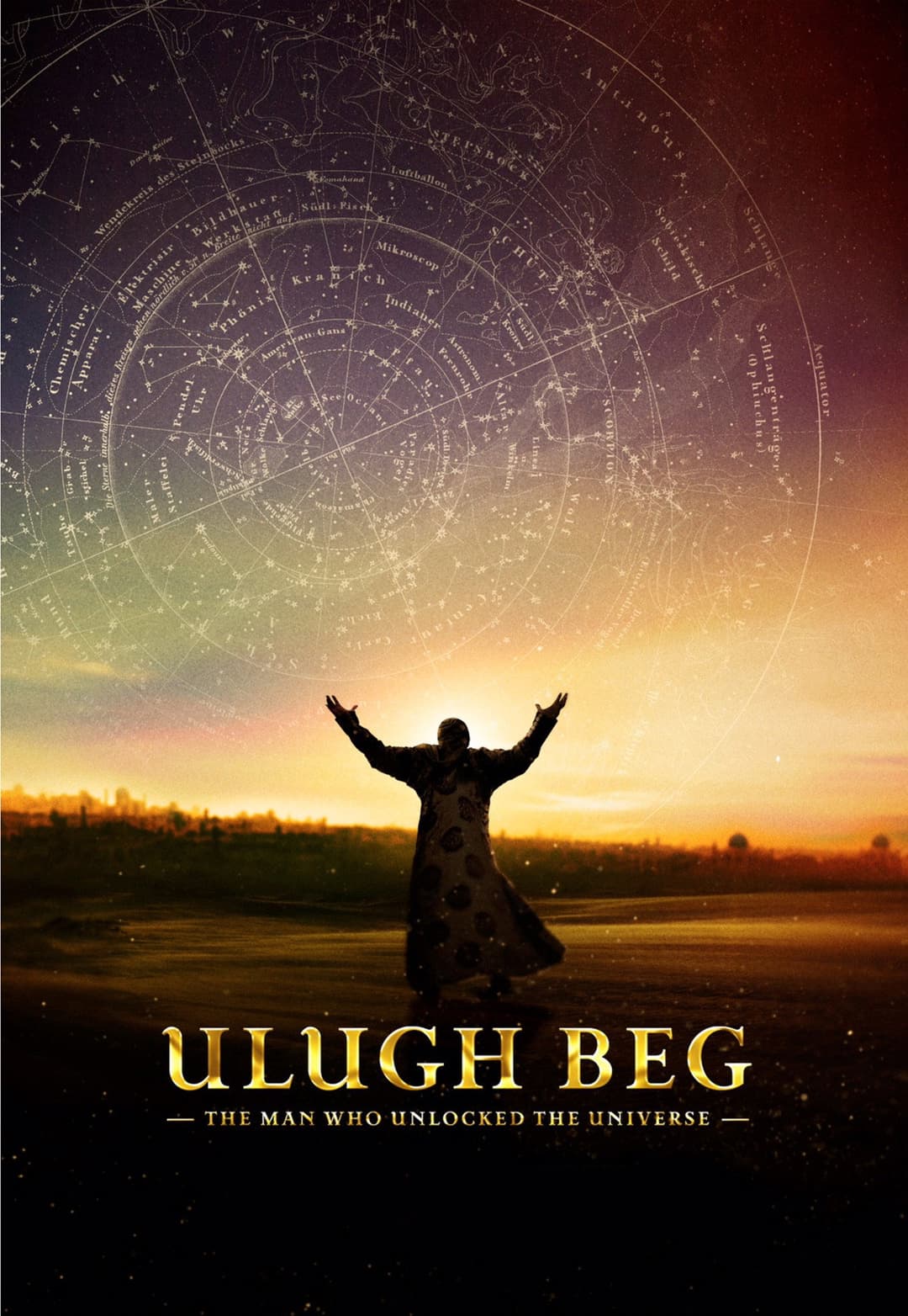 Poster di The Man Who Unlocked the Universe