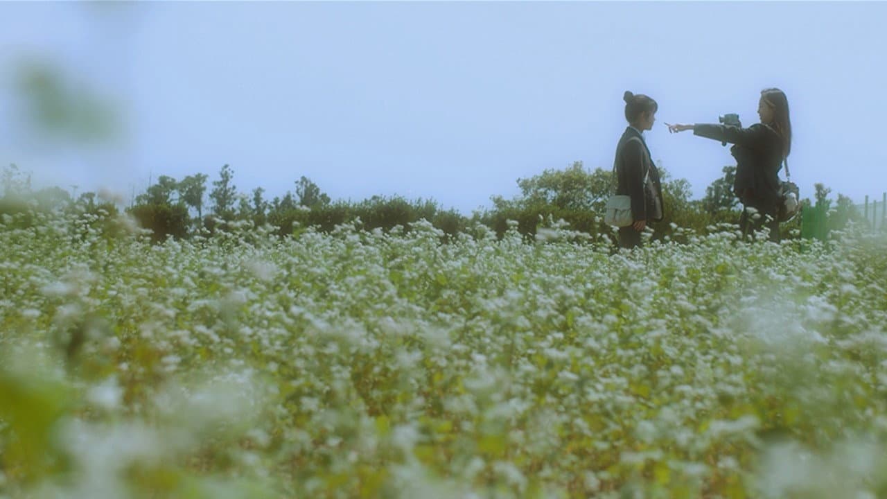 너와 나 - immagine