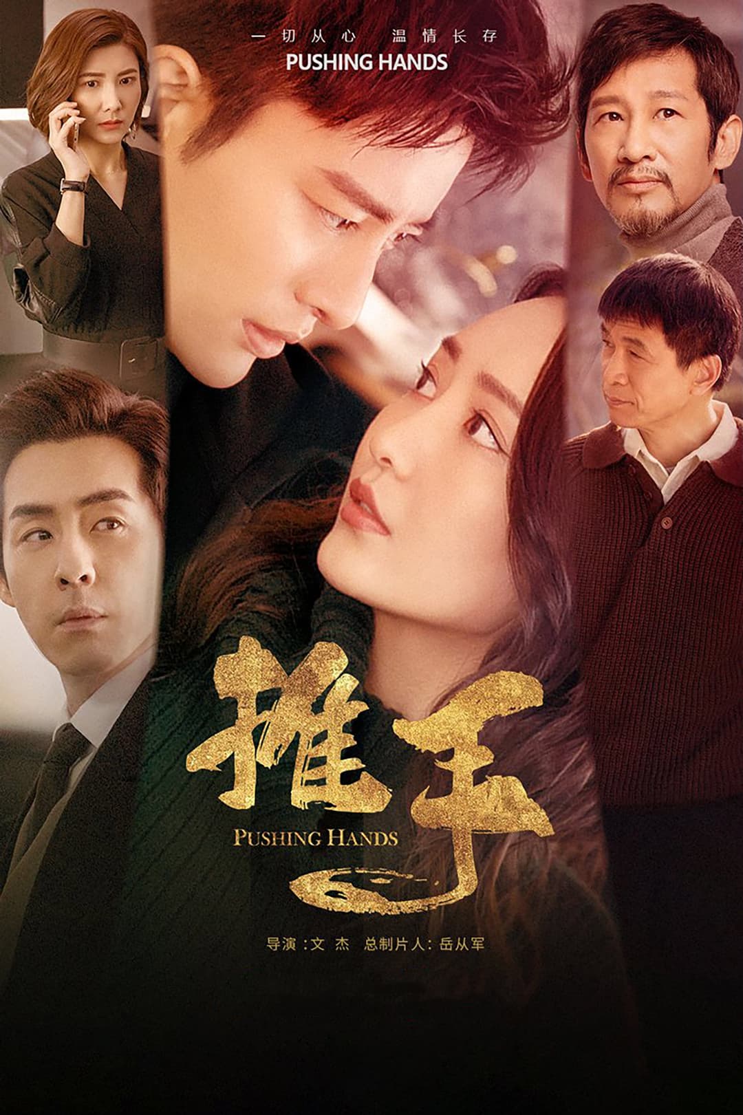 Poster di 推手