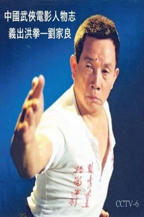 Poster di 中國武俠電影人物志 義出洪拳 劉家良