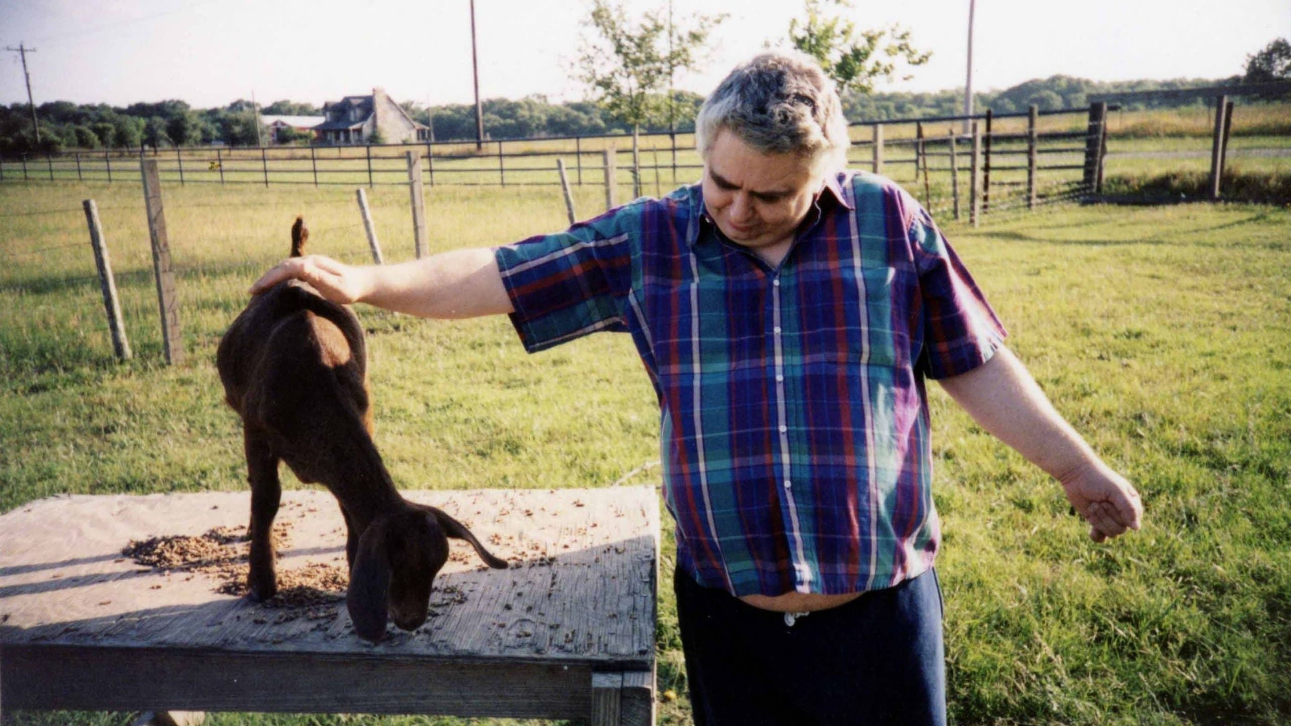 The Devil and Daniel Johnston - immagine
