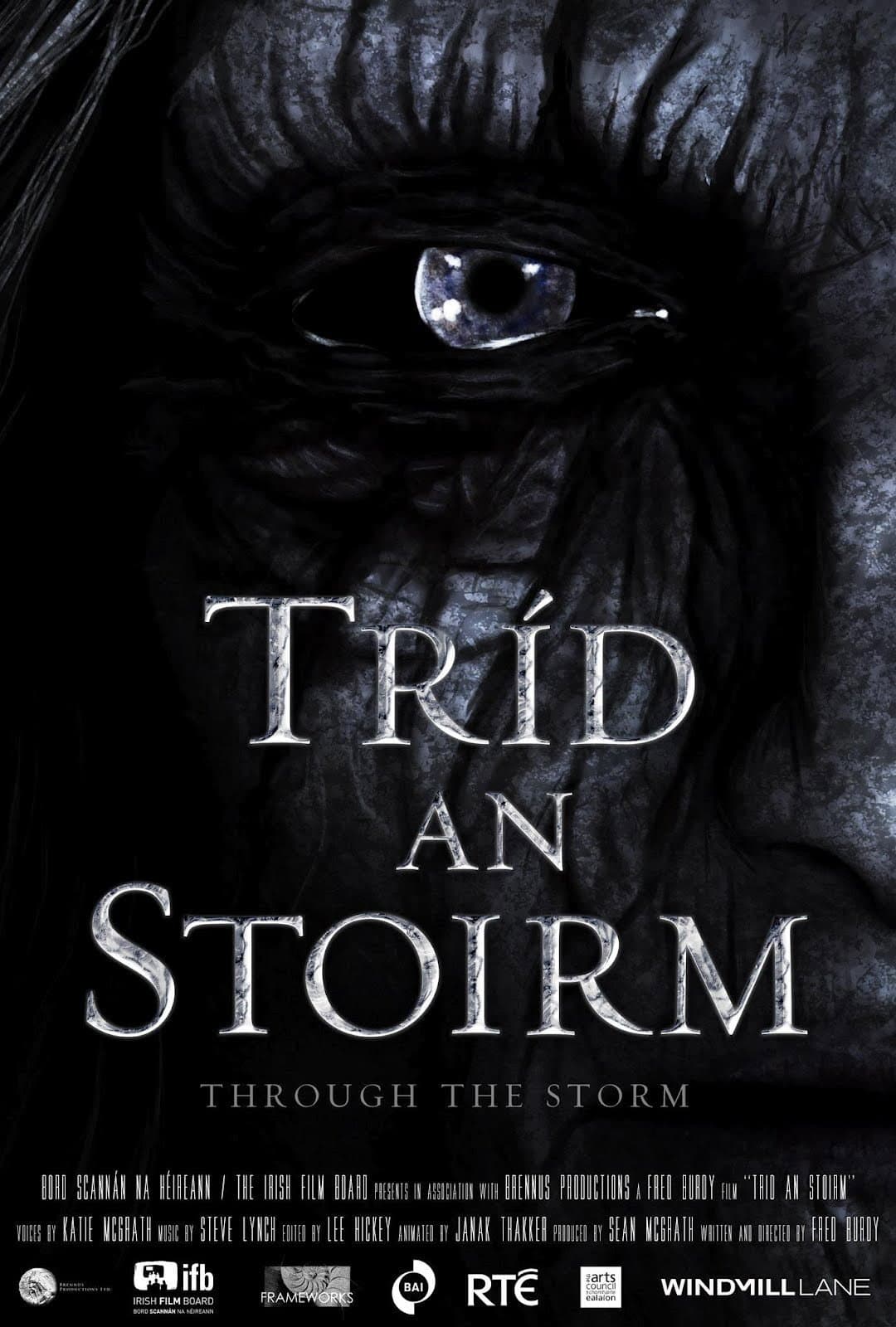 Poster di Tríd an Stoirm