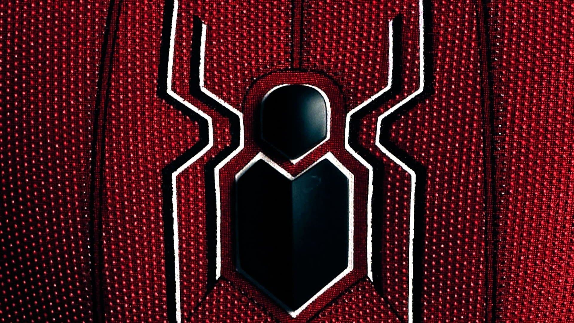 Spider-Man: All Roads Lead to No Way Home - immagine