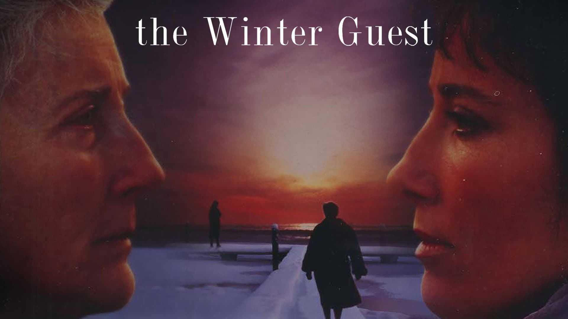L'ospite d'inverno - immagine