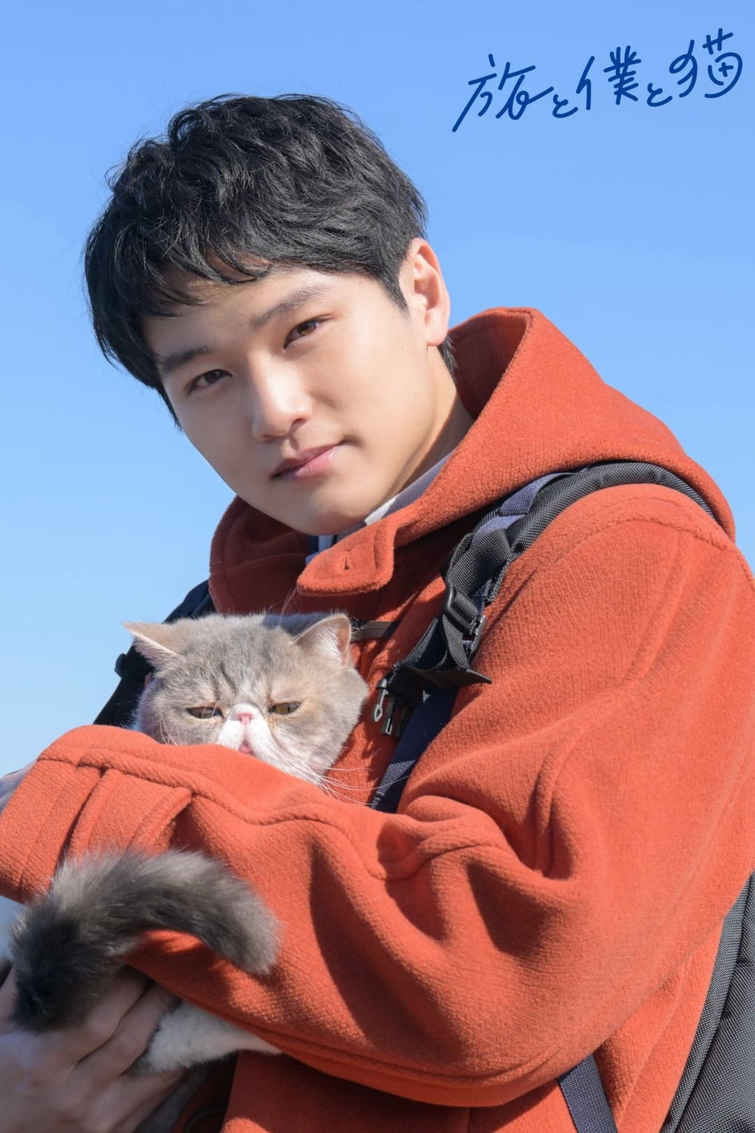 Poster di 旅と僕と猫