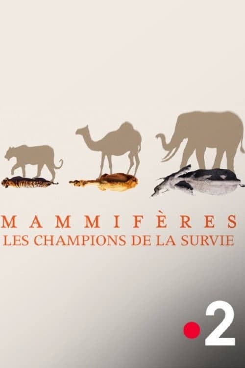 Poster di Mammifères, les champions de la survie