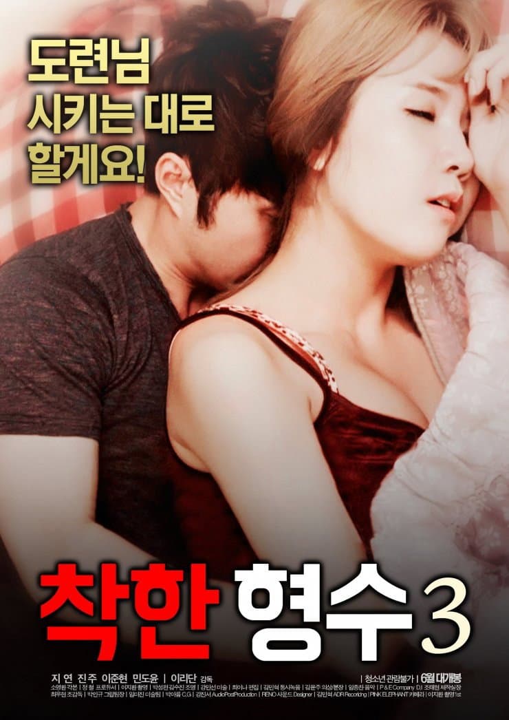 Poster di 착한형수3