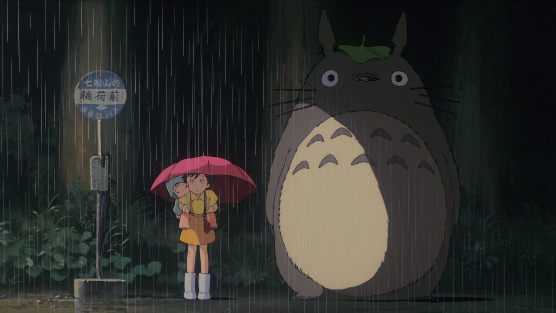 Il mio vicino Totoro - immagine