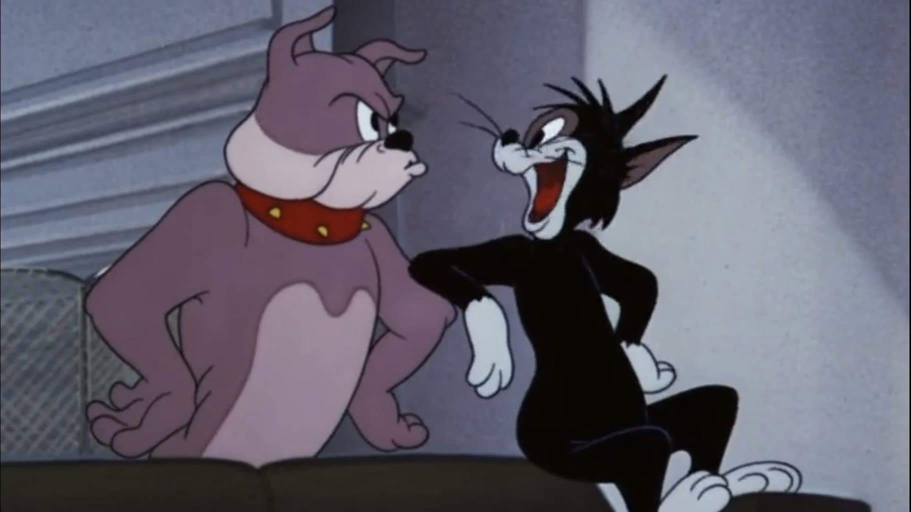 Il gatto impertinente - immagine