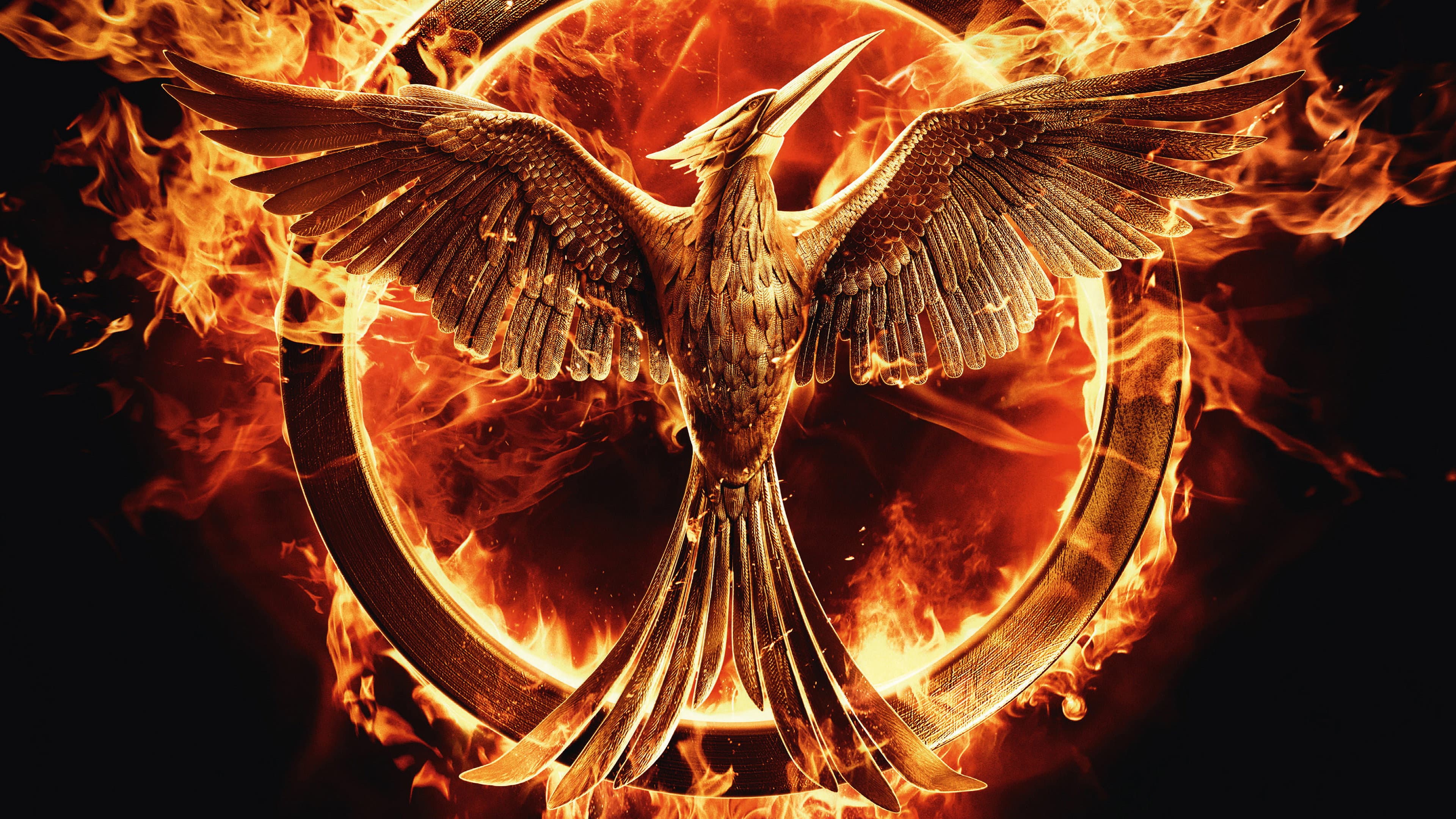 Hunger Games: Il canto della rivolta - Parte 1 - immagine