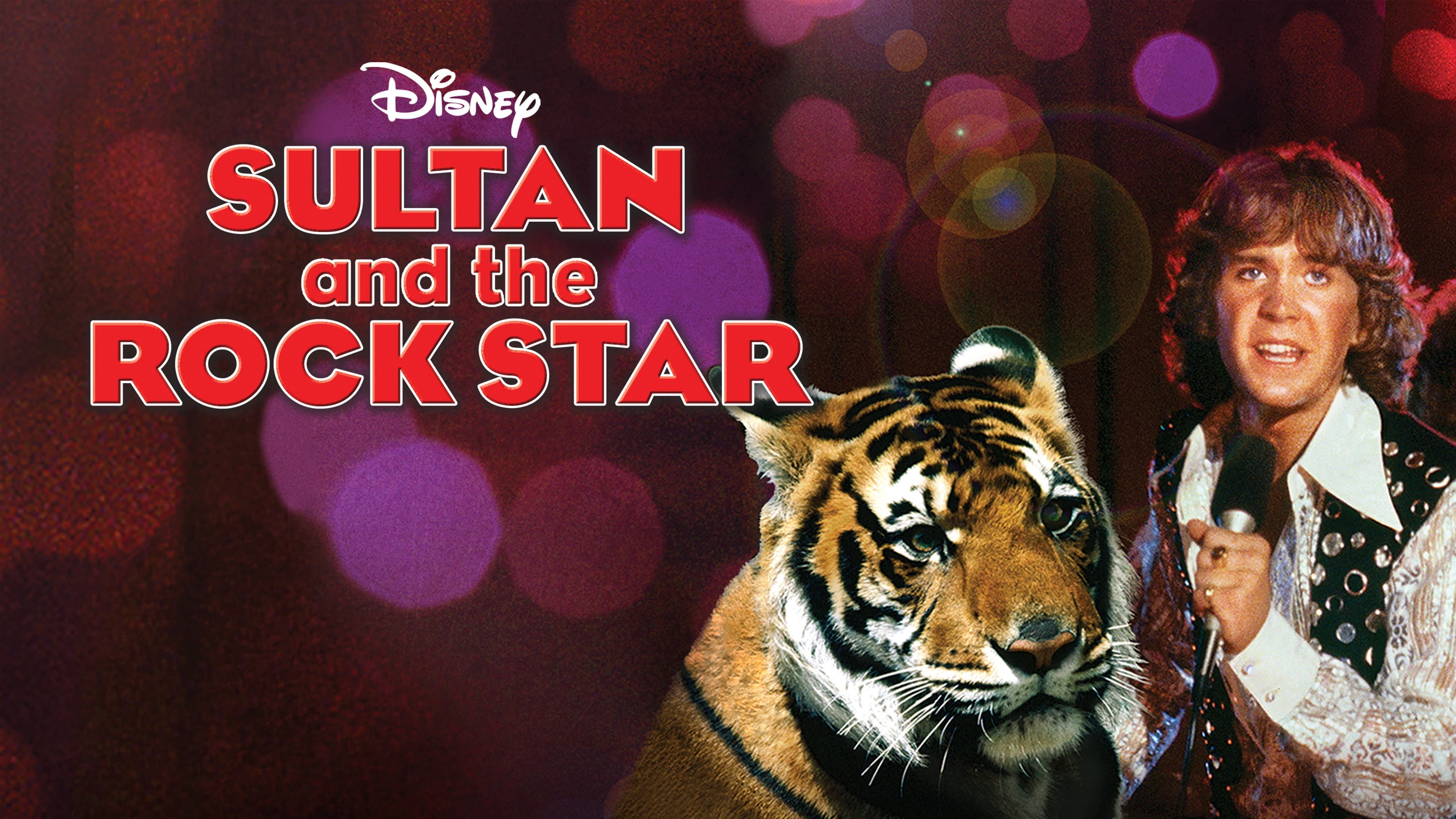 Sultan and the Rock Star - immagine