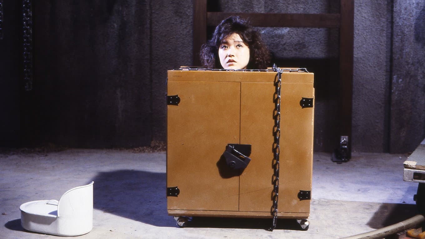 Woman in a Box: Virgin Sacrifice - immagine