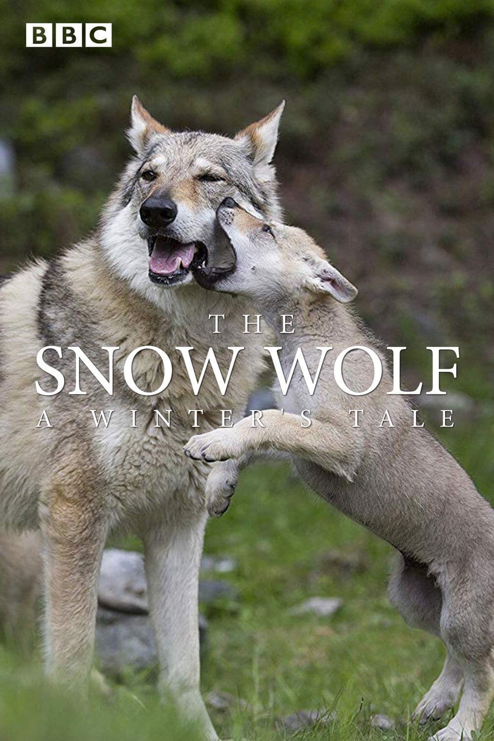 Poster di The Snow Wolf: A Winter's Tale