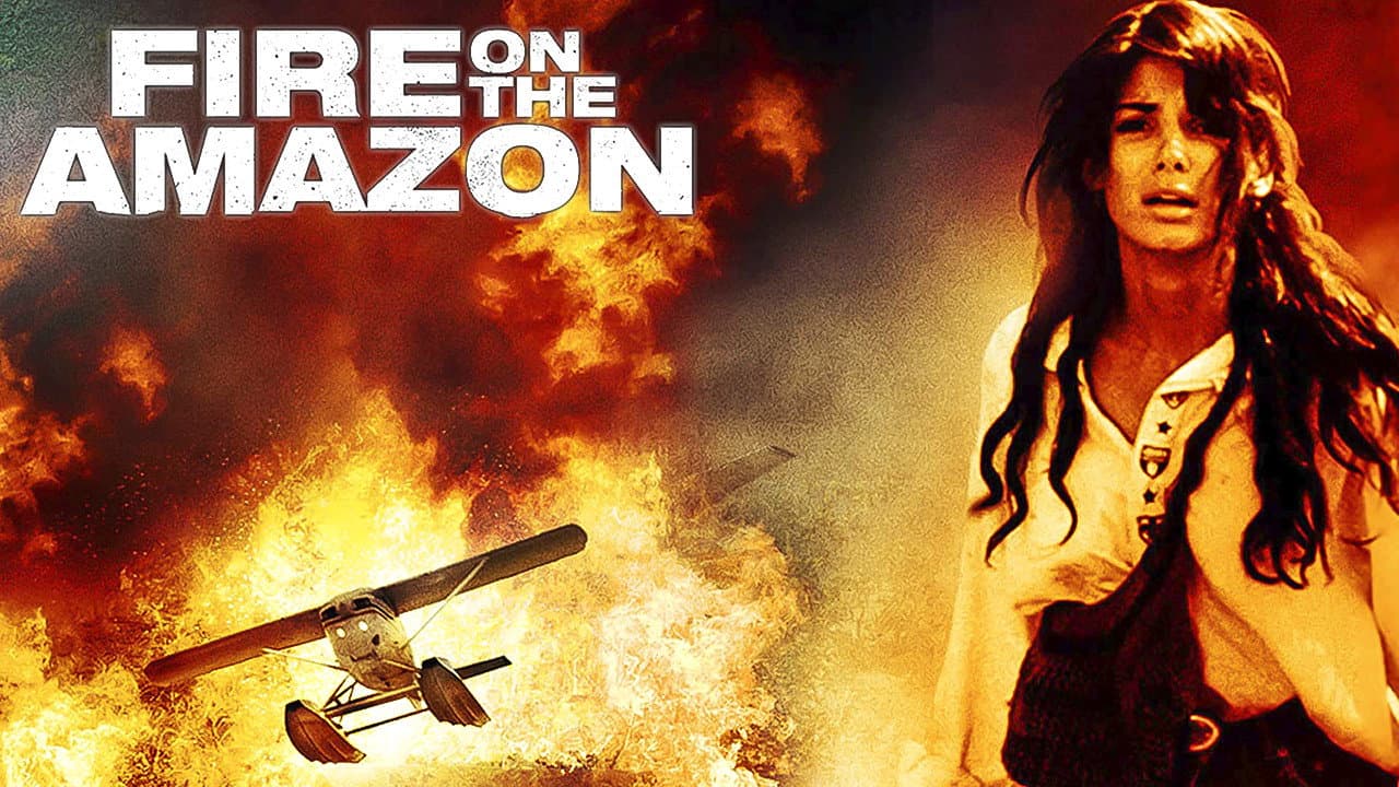 Fiamme sull'Amazzonia - immagine
