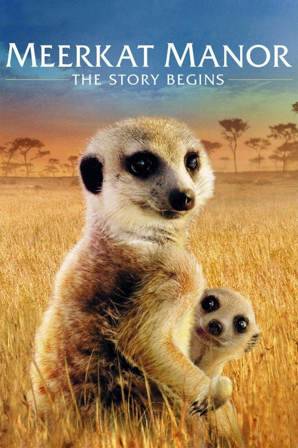 Poster di Meerkat Manor: The Story Begins