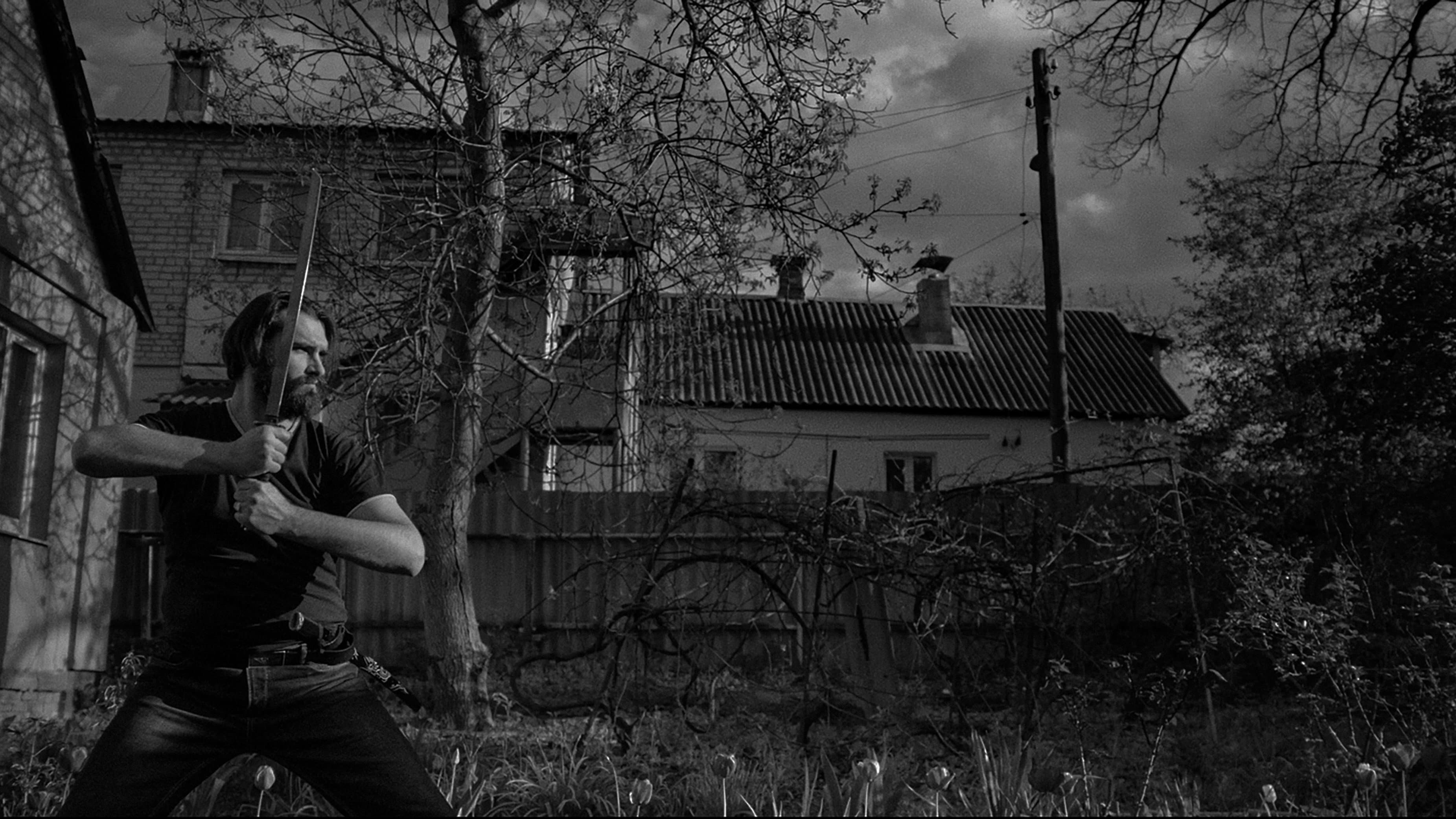 Viktor - immagine