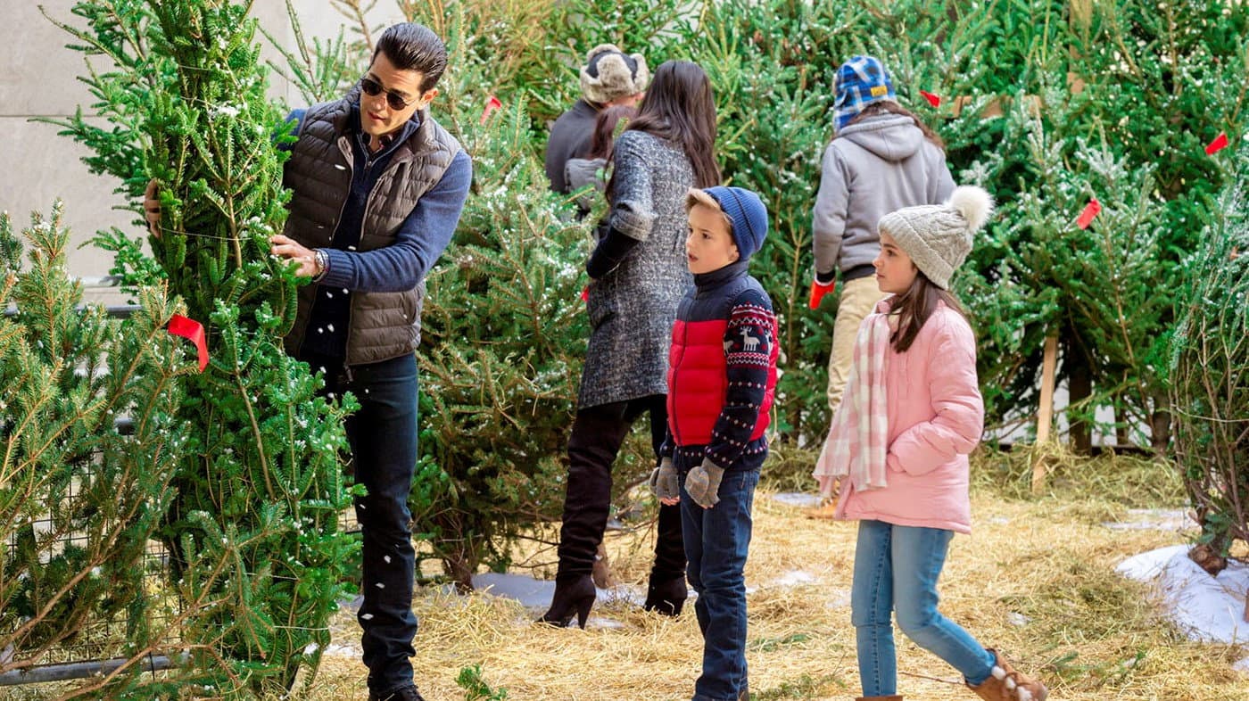 Il Natale della porta accanto - immagine