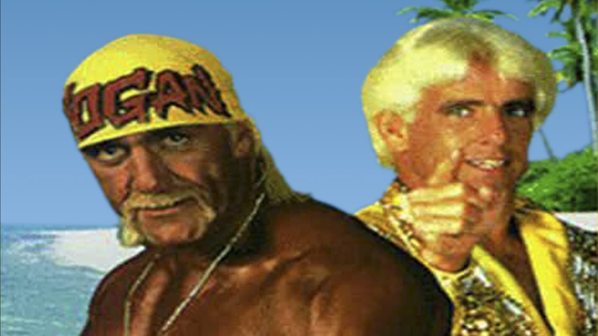 WCW Bash at the Beach 1994 - immagine