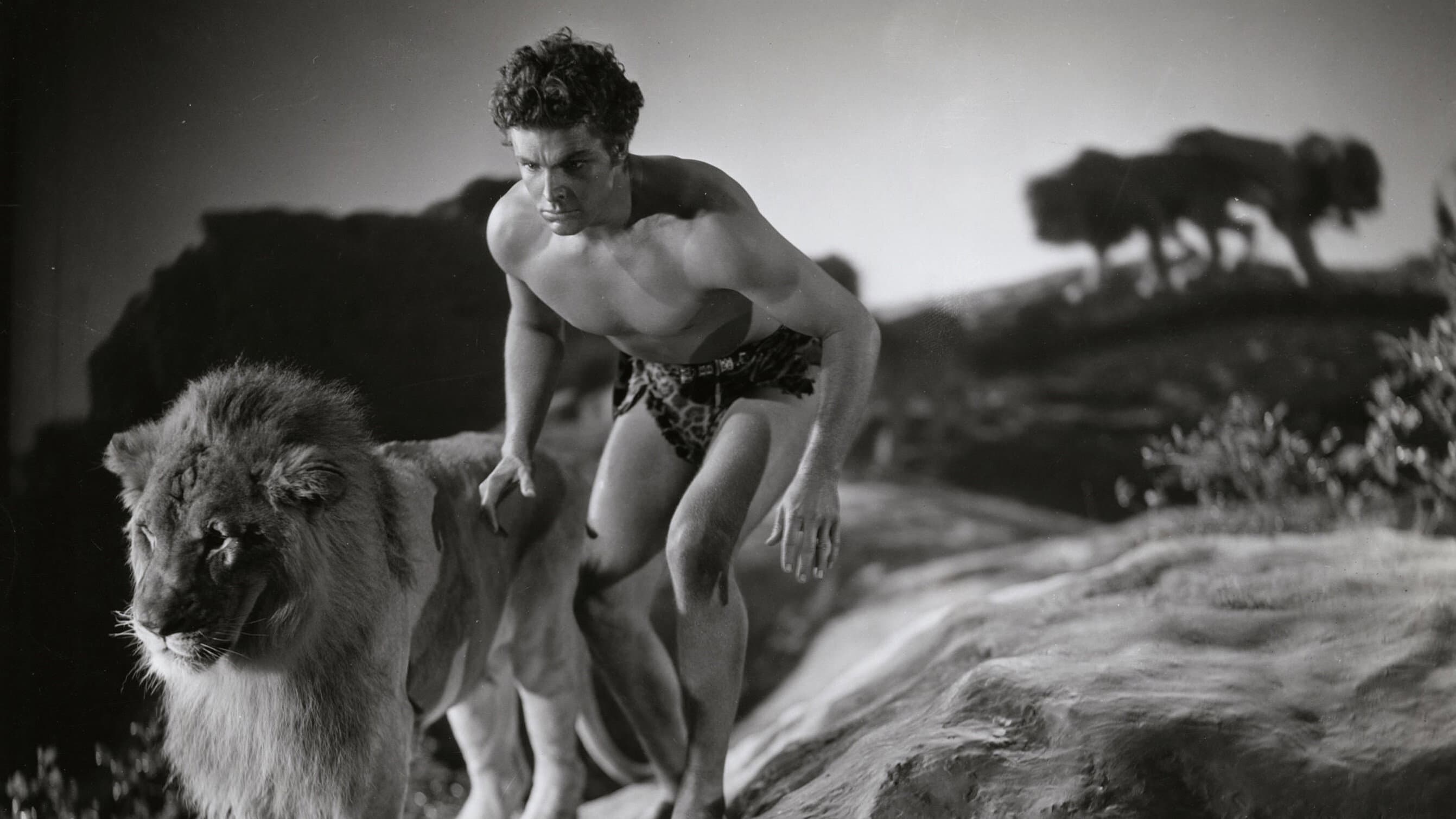 King of the Jungle - immagine