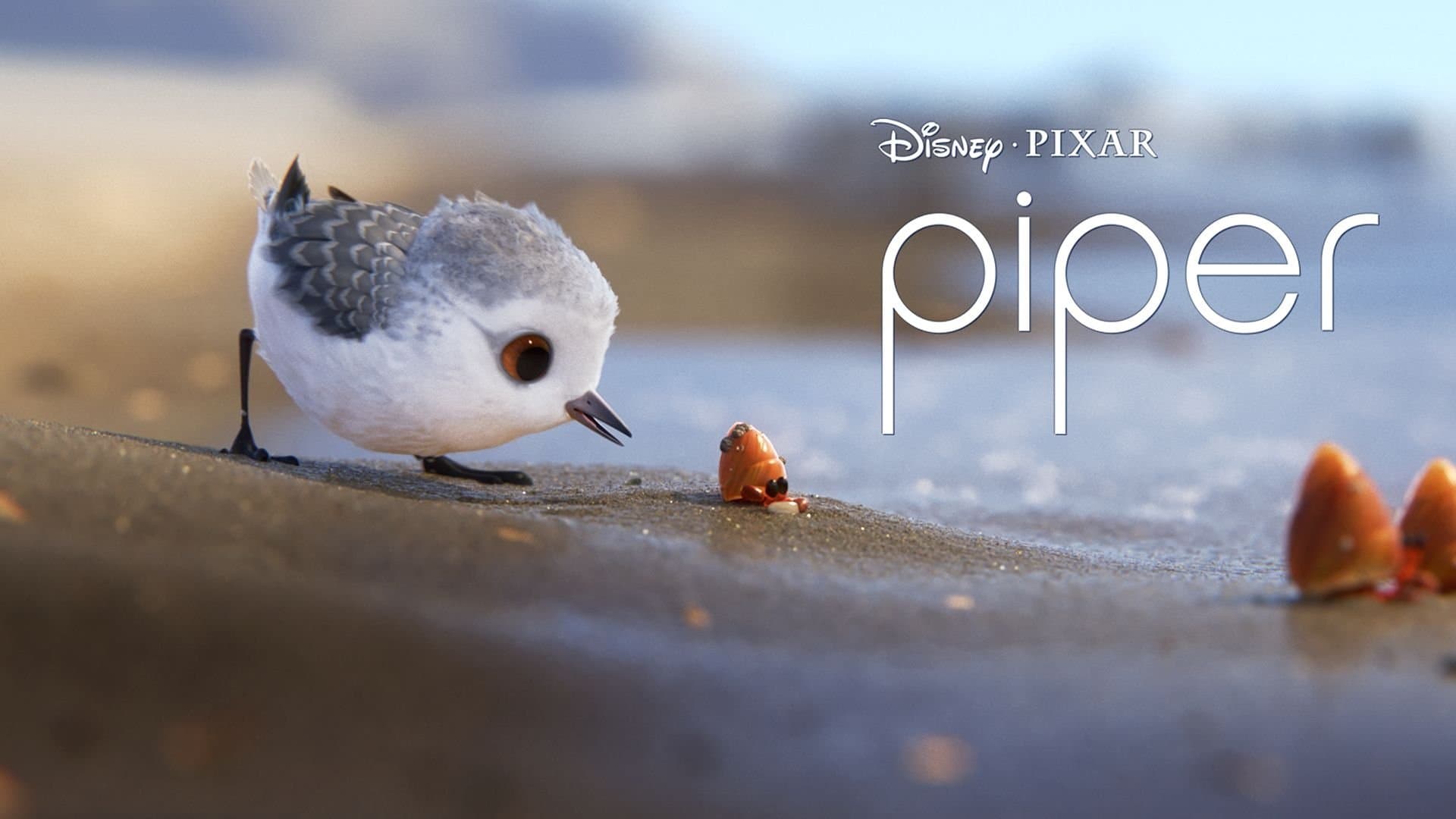 Piper - immagine