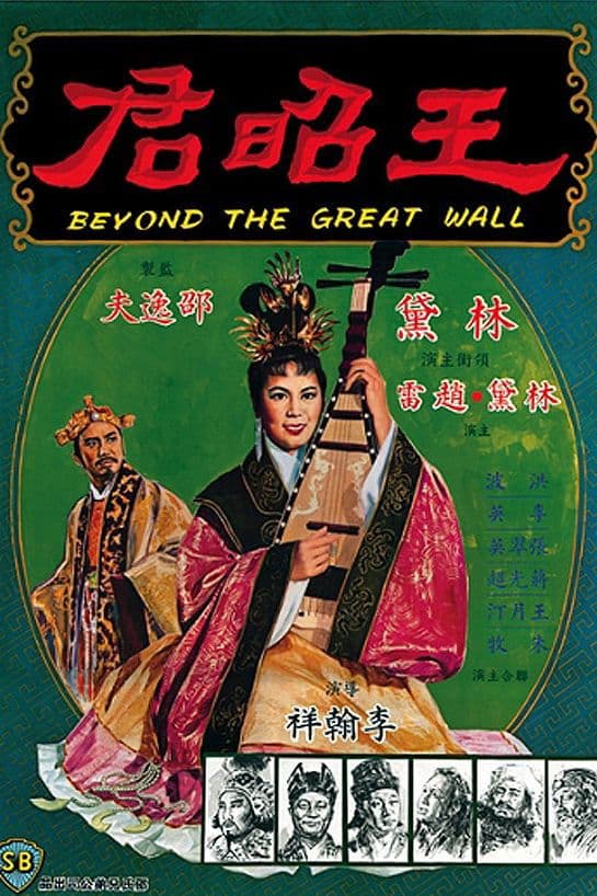 Poster di Wang zhao jun