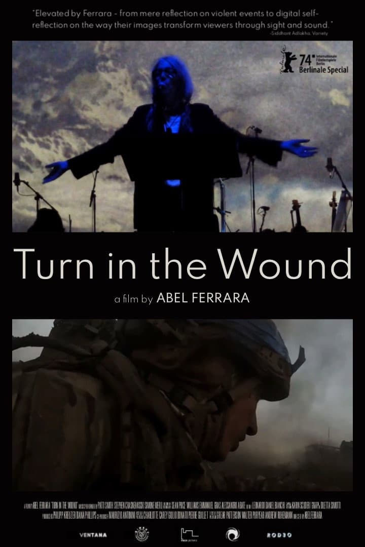 Poster di Turn in the Wound