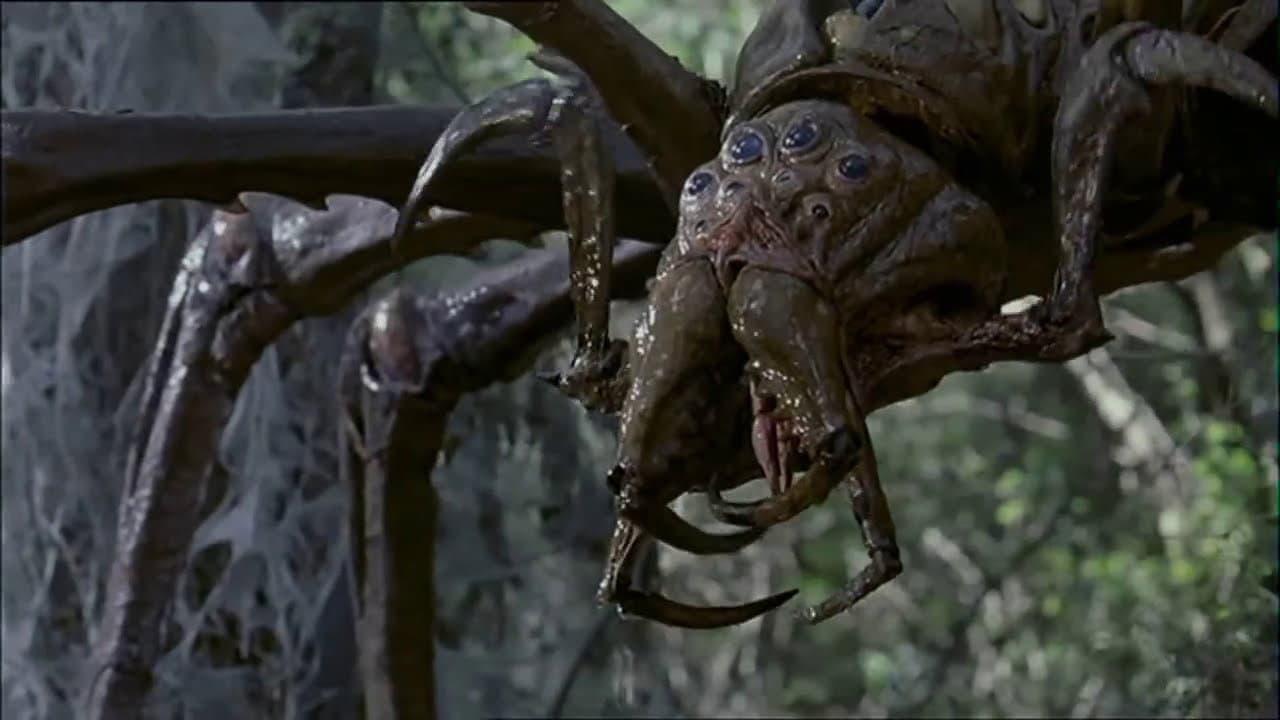 Arachnid - Il predatore - immagine
