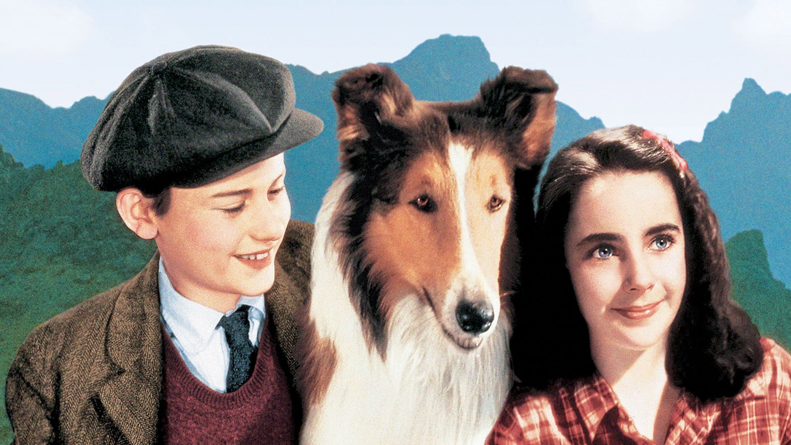Torna a casa Lassie! - immagine