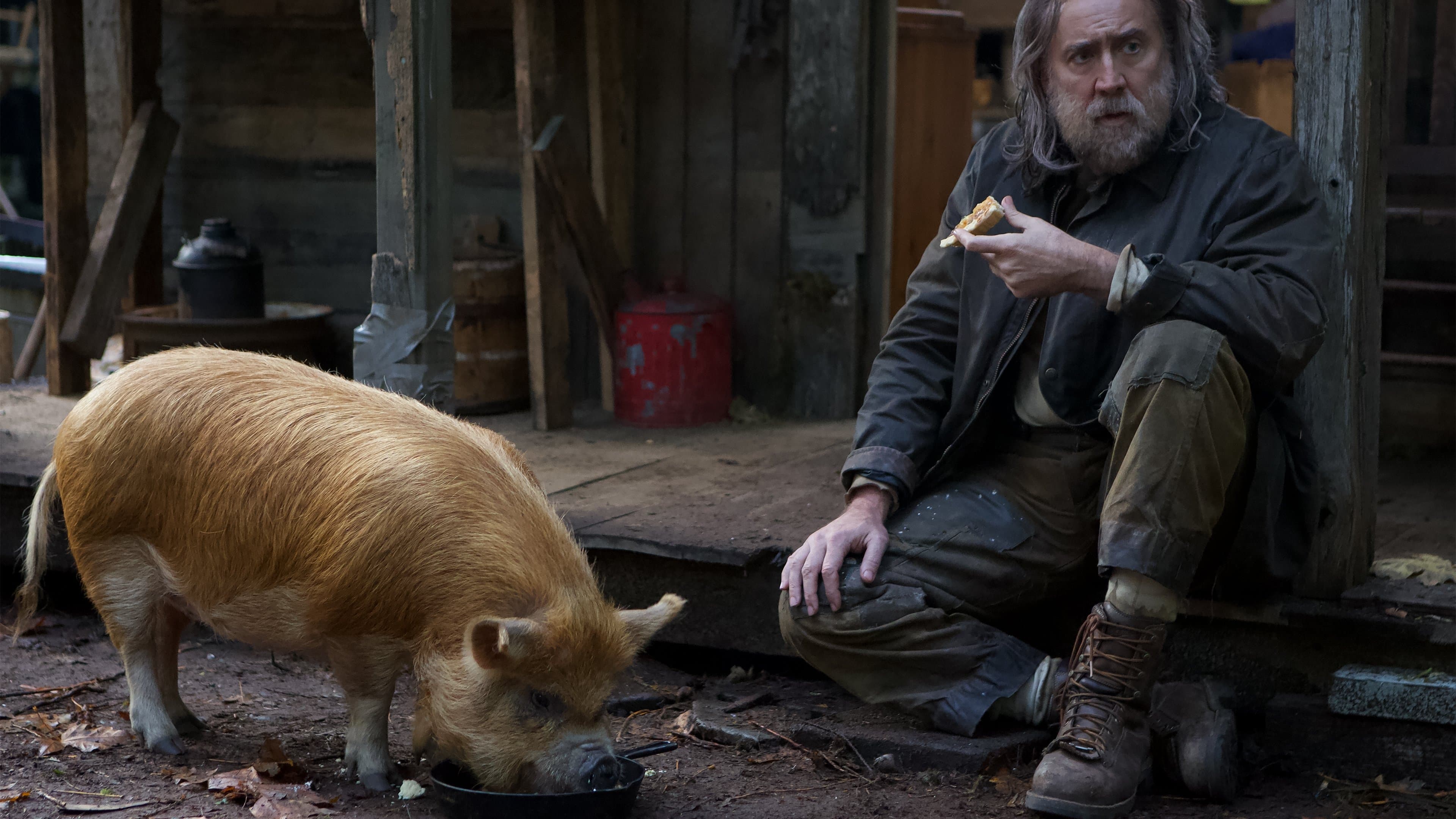Pig - Il piano di Rob - immagine
